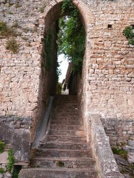 Montricoux 12