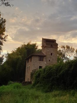 Montricoux 18
